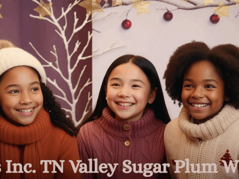 Sugar Plum Wishes